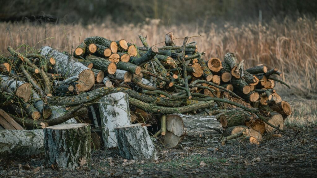 biomass energy plant