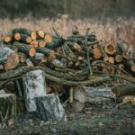 biomass energy plant