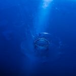 blue background image submit