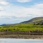 coastal landscape background image