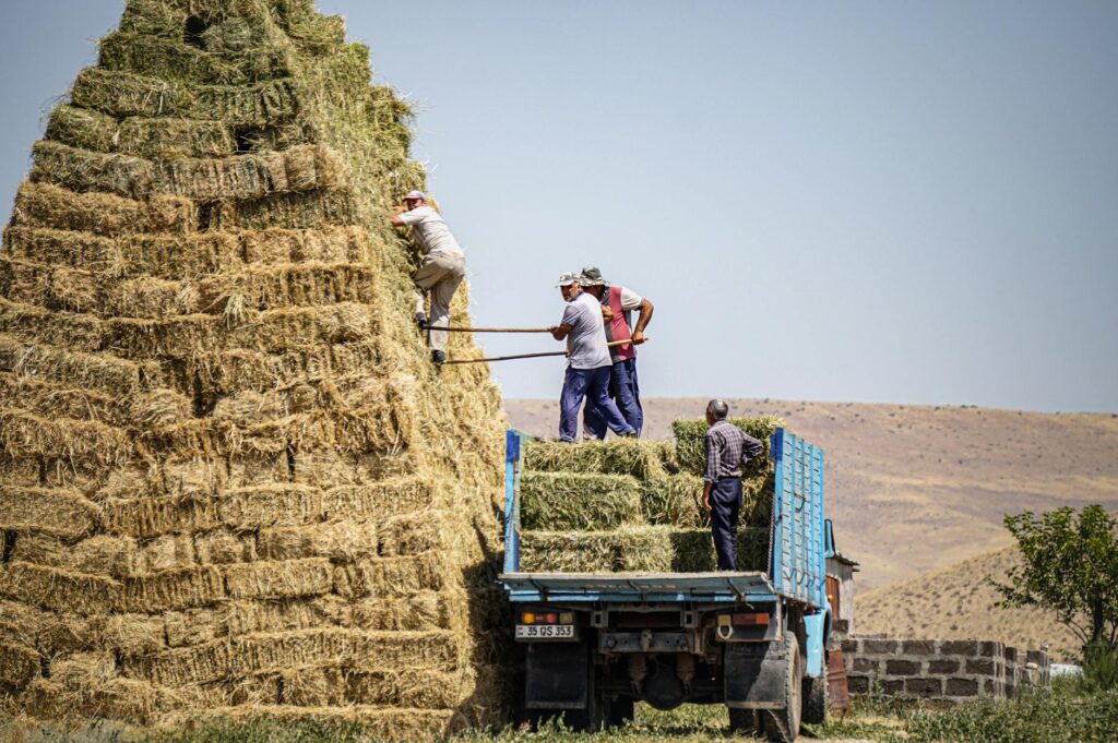 family loading suv third row
