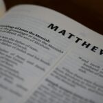 genealogy records family tree