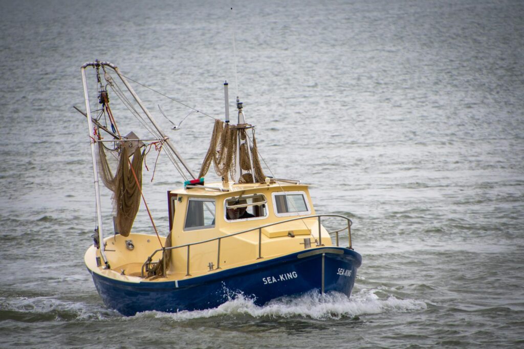 King boat trailer