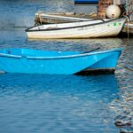 Livingston boat on water