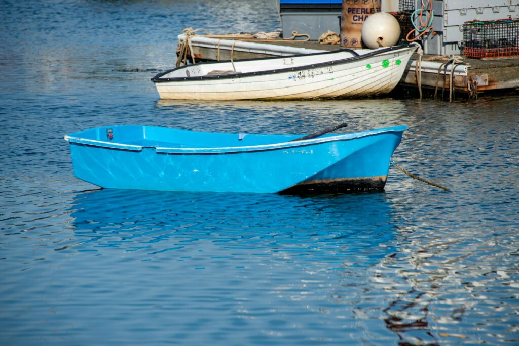 Livingston Boats: Performance and Value in 2026