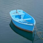 Livingston12 boat