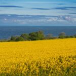 marine field data collection