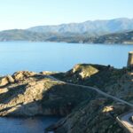 Pietra Dawn Cherniak professional leadership