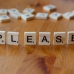 pilfer word game app