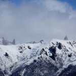 Quicksilver 900 outboard