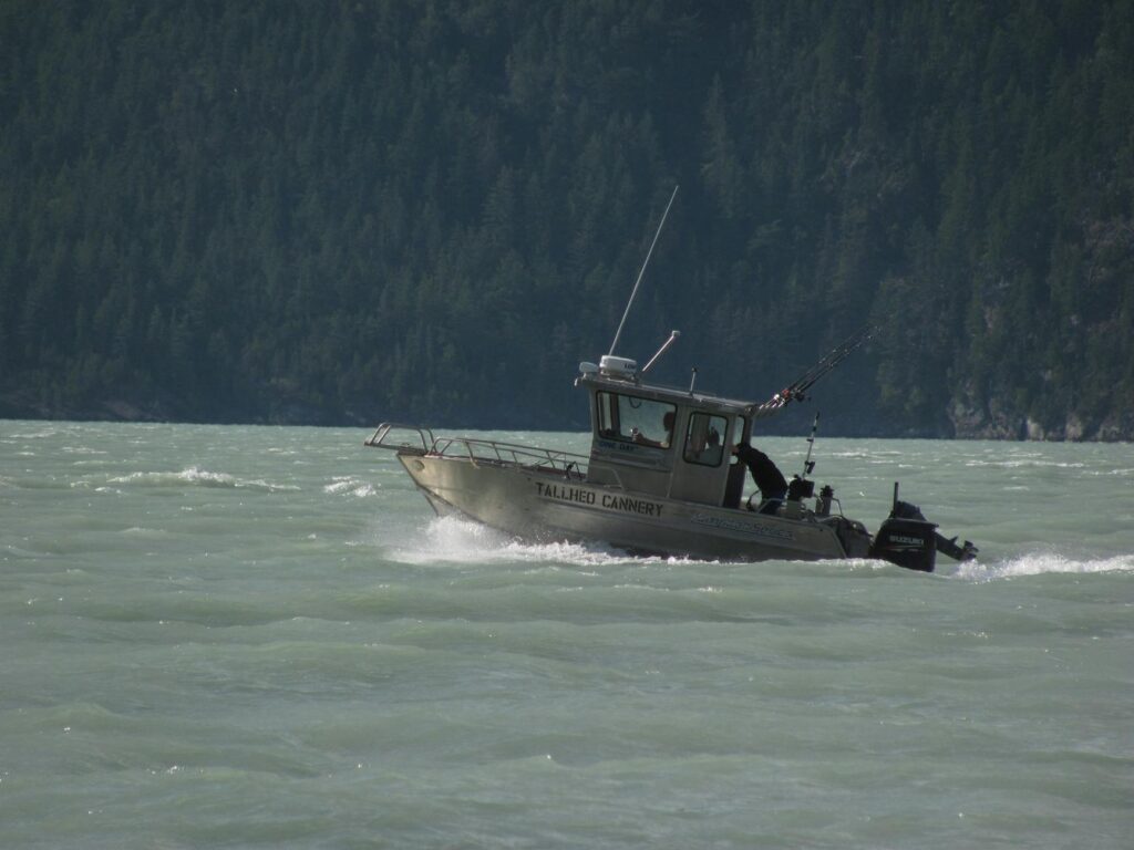 Raider Cuddy Aluminum Fishing Boat: Your Guide