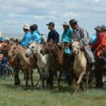 Sea Raider Solid Bulkhead: Strength and Safety