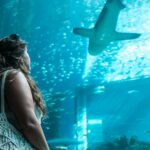 Popular Shark Tank Products: What’s New & What Works